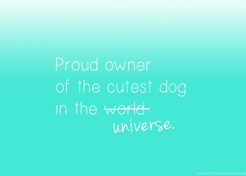 Birthday Week: Cutest Dog Free Desktop Wallpapers