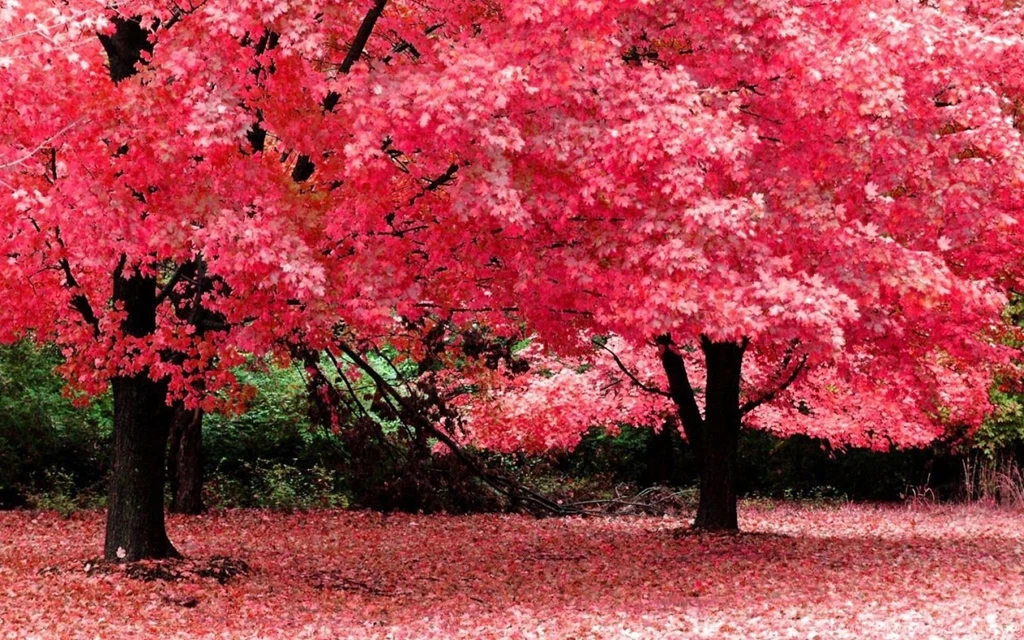 Wallpapers For Desktop Backgrounds Full Screen Hd