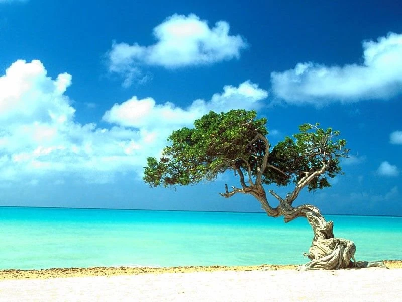 Cool Wallpapers Free
