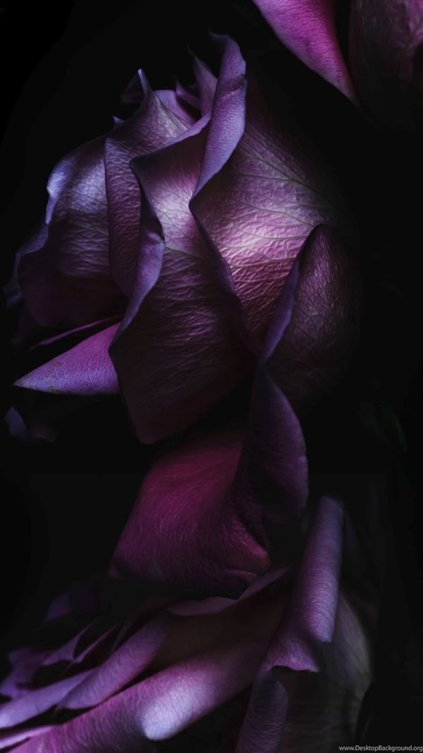 Best iPhone Wallpapers IOS 9 Download Right Now