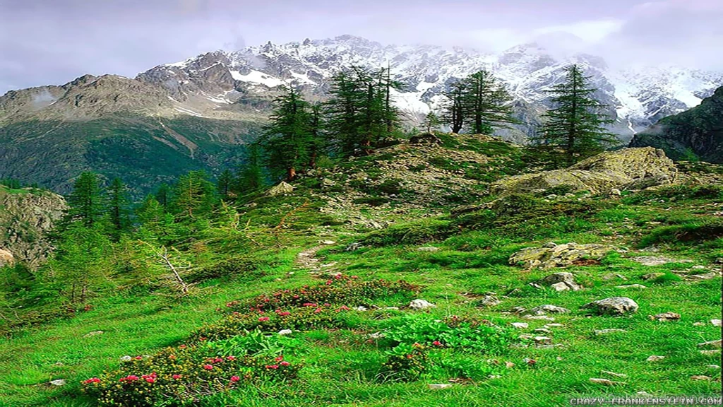 Spring Landscape Wallpapers 2 Crazy Frankenstein