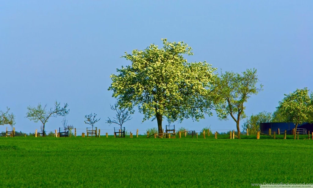 Spring Landscape Nature 7 HD Desktop Wallpapers : Widescreen : High ...