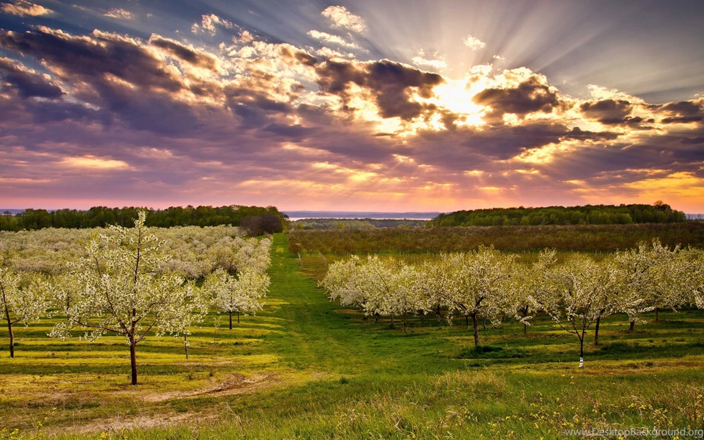 Download Wallpapers 3840x2400 Garden, Spring, Landscape Ultra HD 4K ...