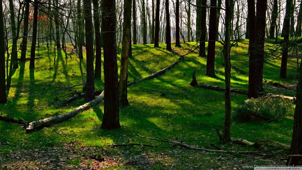 Spring Landscape Nature 11 HD Desktop Wallpapers : Widescreen ...