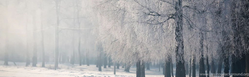 Download Wallpapers 3840x1200 Birch, Branches, Frost, Fog, Cold ...