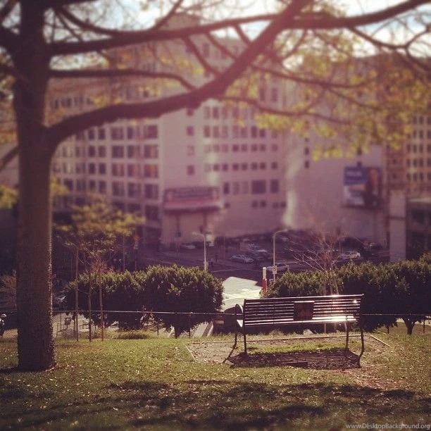 Gallery For 500 Days Of Summer Bench Wallpapers