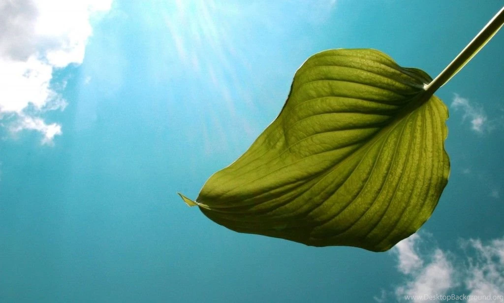 Best Desktop Wallpapers of All Time 1024x615.jpg