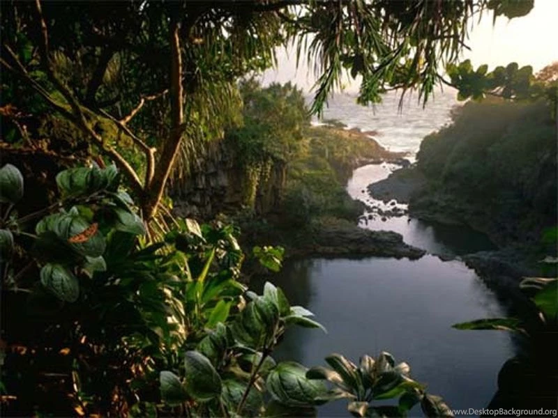 Animated Wallpapers Download   Wallpapers HD Fine