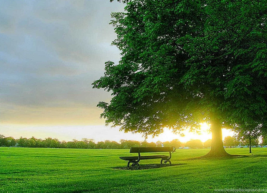 Download Animated Wallpapers For Mobile