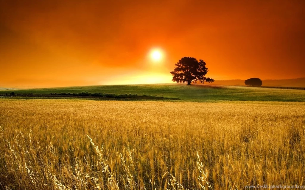 Hd Wallpapers For Laptop