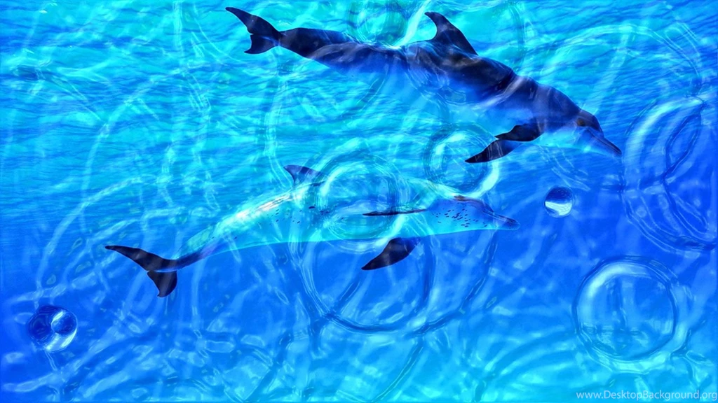 Windows Wallpapers Live Screensaver