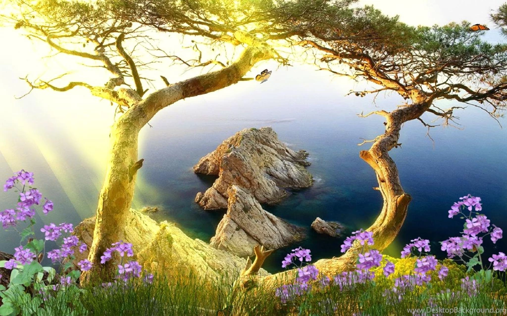 Animated Desktop Wallpapers