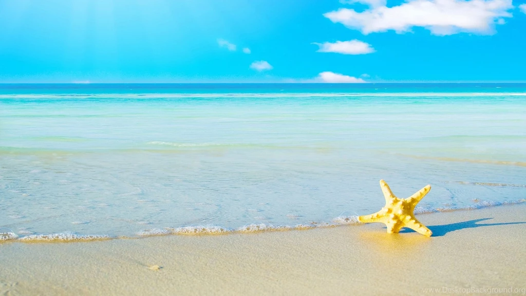 Download Wallpapers 2560x1440 Starfish, Sand, Beach, Sea, Foam ...