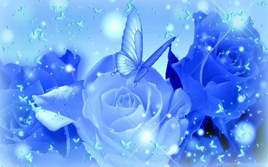 Blue Roses Backgrounds Wallpapers Cave