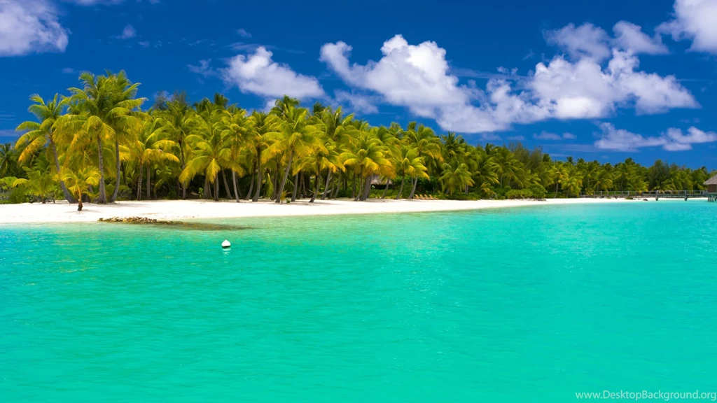 Download Wallpapers 2560x1440 Summer, Maldives, Tropical, Beach ...