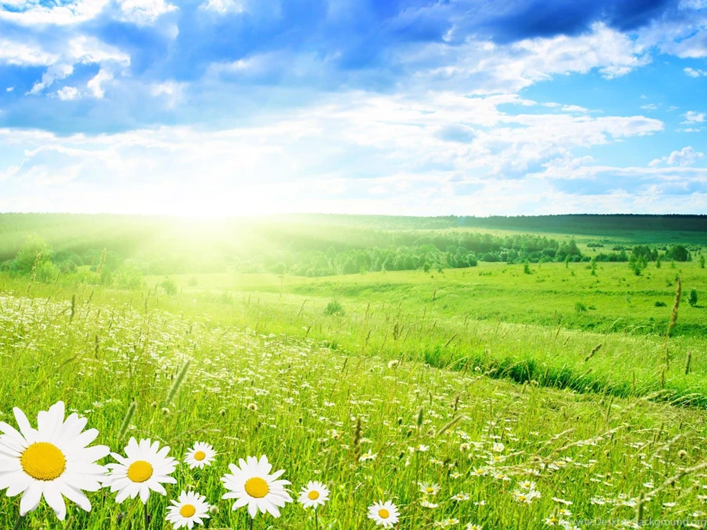 Download Free Wallpapers Spring