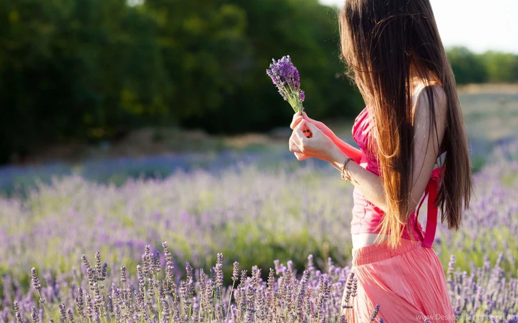 Mood Girl Field Flowers Purple Nature Wallpapers