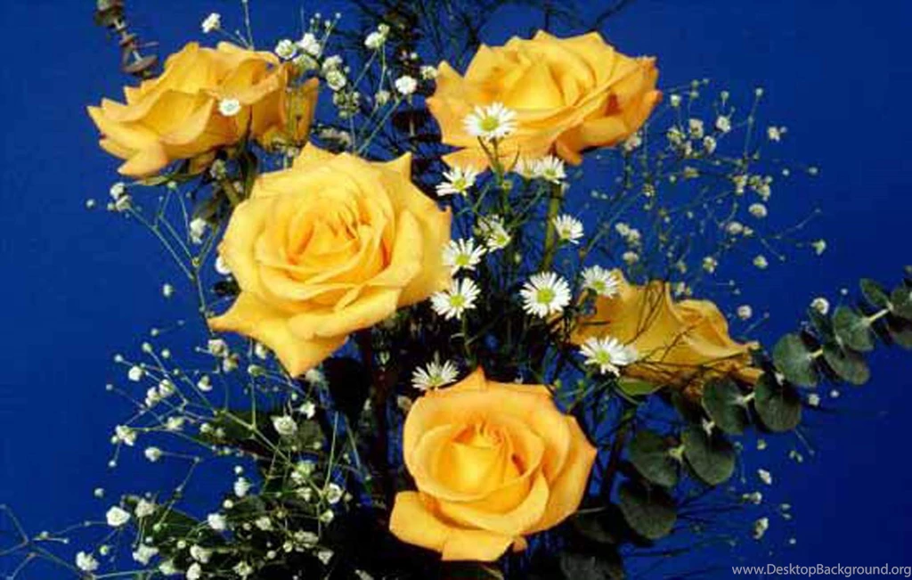 20 Beautiful Yellow Rose Flowers