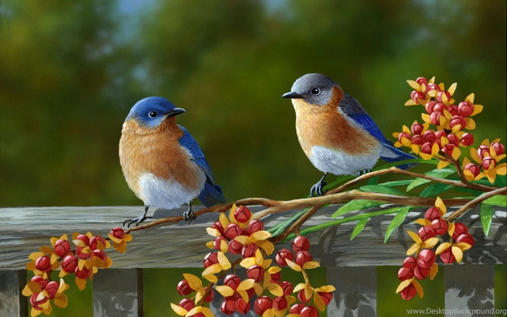 Beautiful Birds Wallpaper 1.jpg