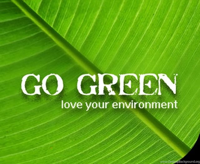 Environment: How Do You Define It?”