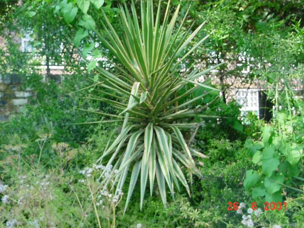 Nature Conservation 27 Wide Wallpapers   Hivewallpaper.com