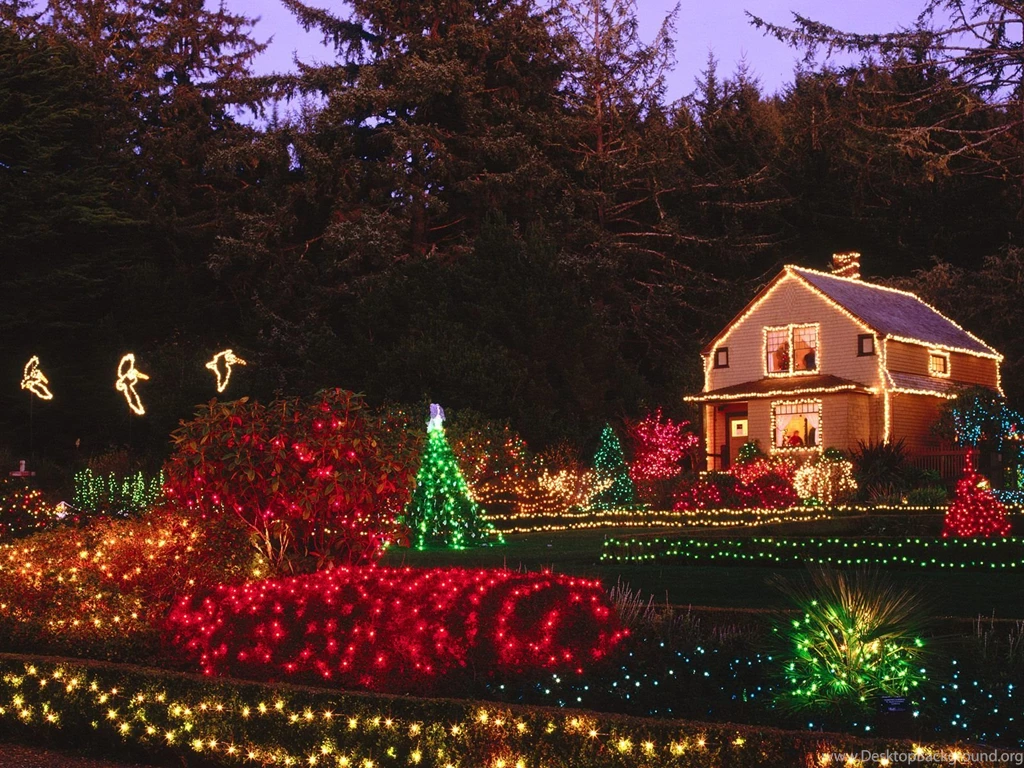 30 Pictures Of Christmas Pictures