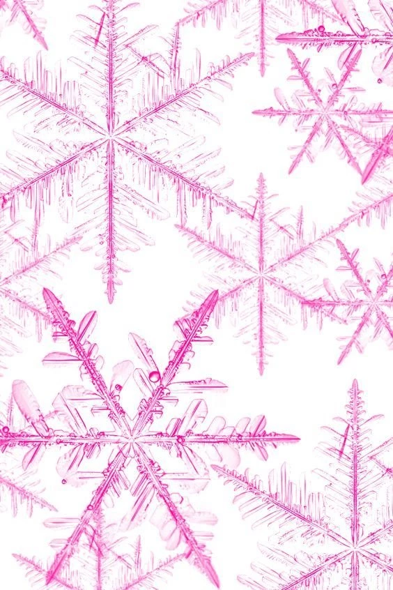 Wallpapers On Pinterest