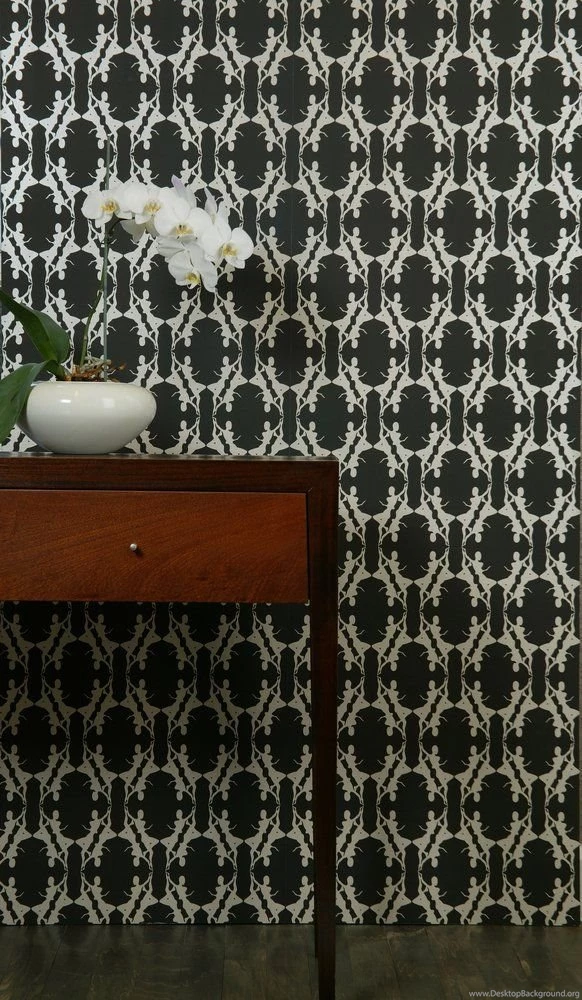 Ladies Galore Wallpapers