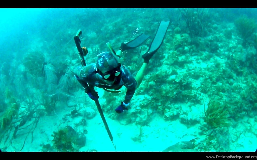 Spearfishing Archives   The Nomad Trip