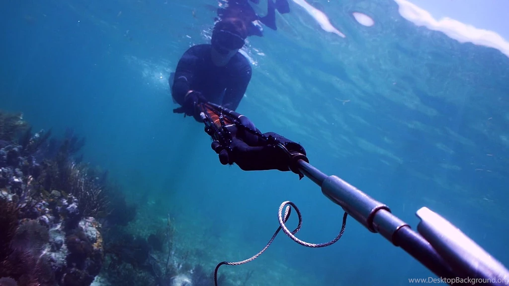 Spearfishing Float Package, Spear Fishing