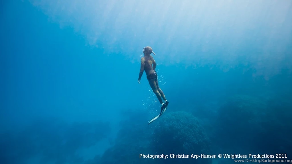 LOOKING FOR A YOUTUBE ART SPEARFISHING EDITS Graphics Requests ...