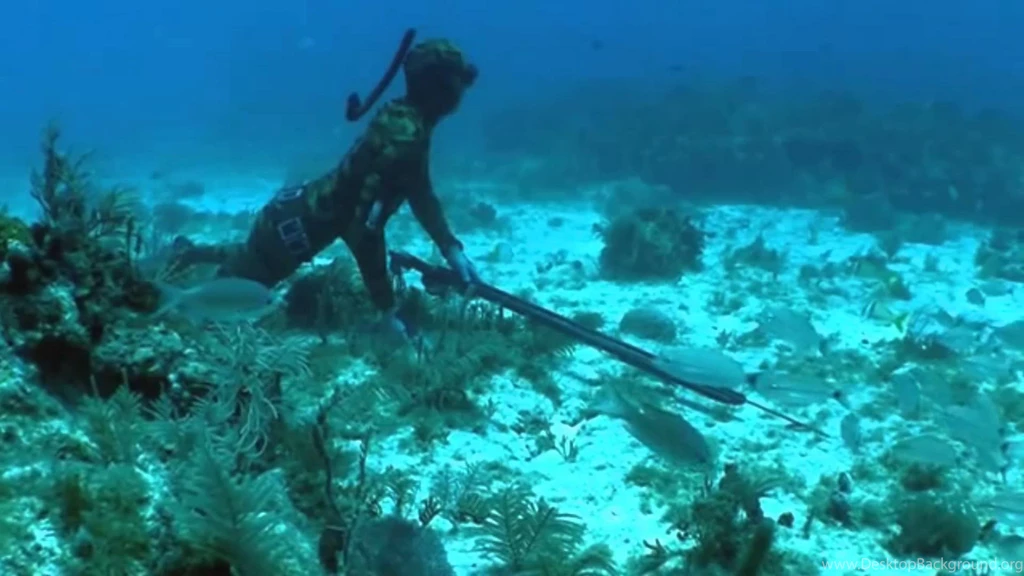 Kills Beautiful Spearfishing (9 Shot)   YouTube