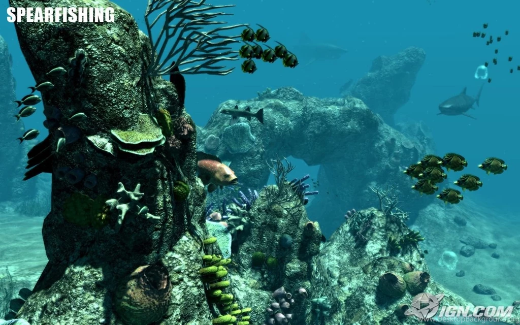 Spearfishing 20090713115556237