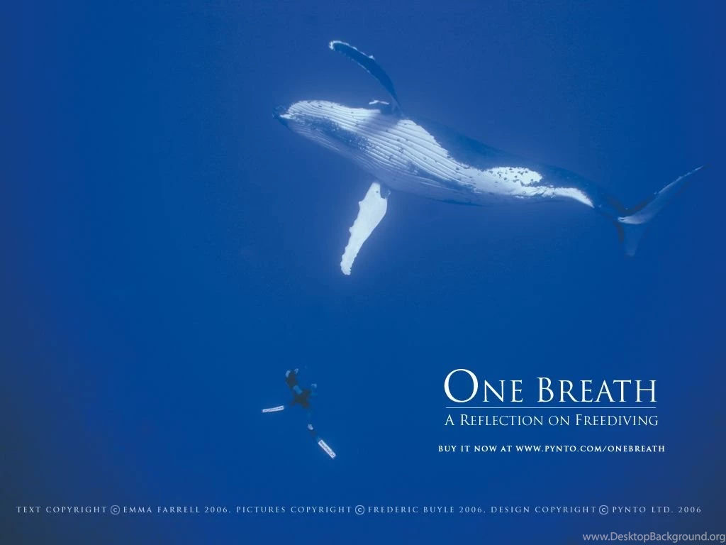 Downloads :: One Breath, A Reflection On Freediving