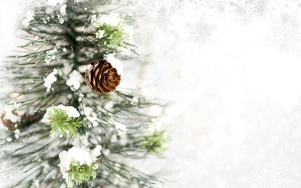 Branch With A Pinecone Wallpapers And Images   Wallpapers ...