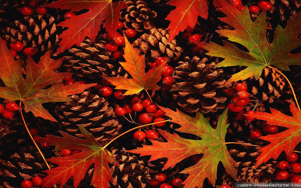 Fall Leaves Wallpapers 2   Crazy Frankenstein
