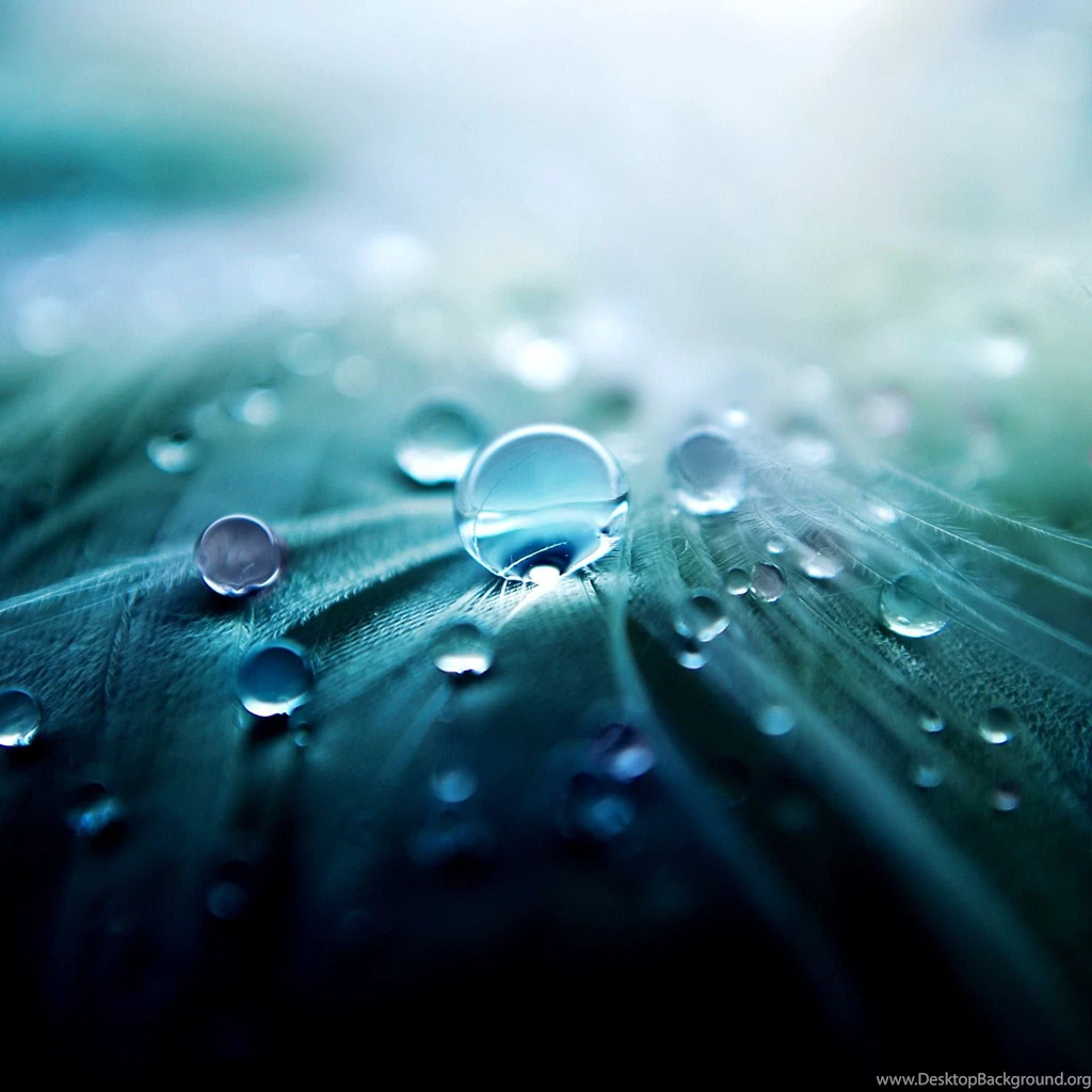 New HD Wallpapers 7.jpg