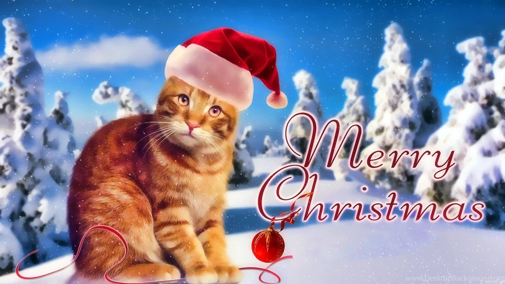 Marry Christmas Cat Wallpaper.jpg
