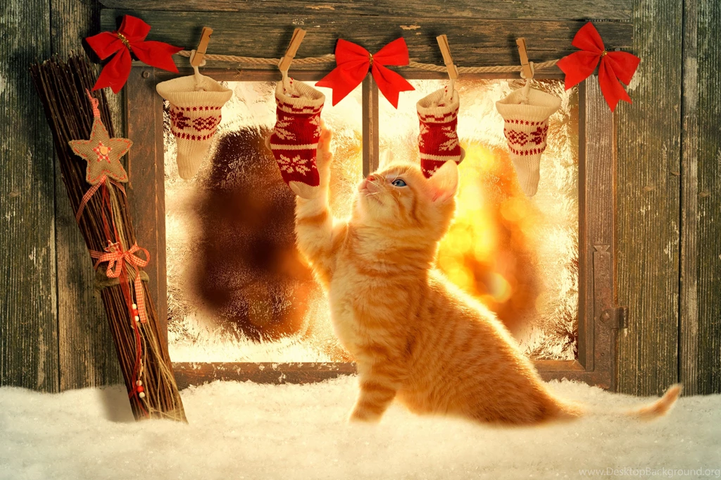 Wallpapers Merry Christmas