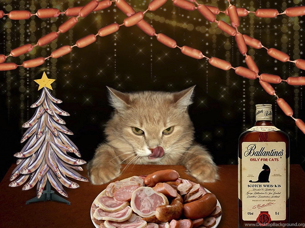 Happy Christmas Cat :) >> HD Wallpaper, Get It Now!