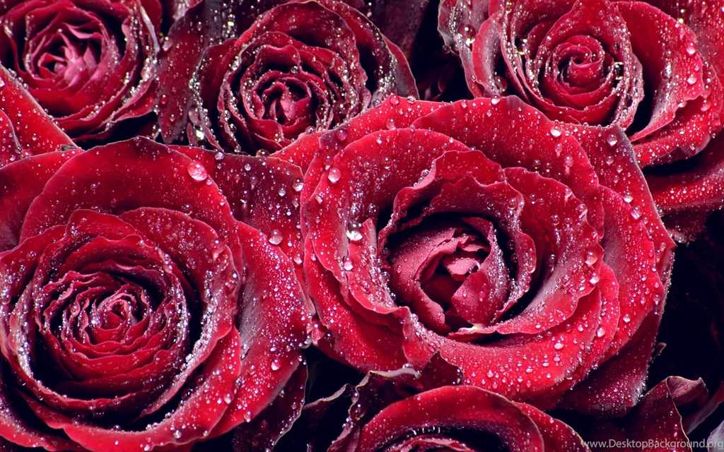 Romantic Rare Love Wallpapers