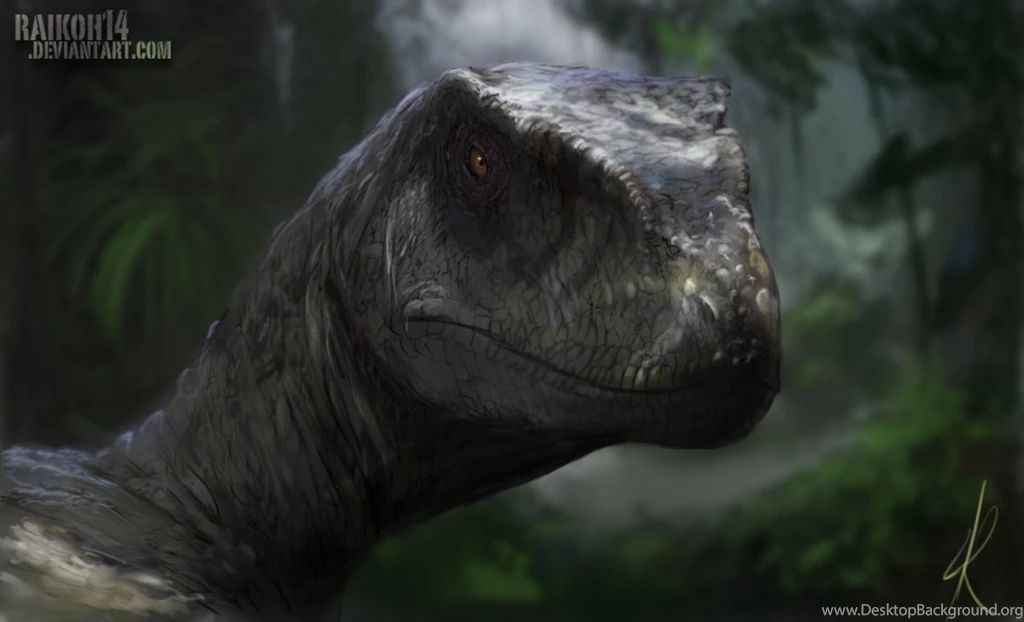 Velociraptor By Raikoh illust On DeviantArt