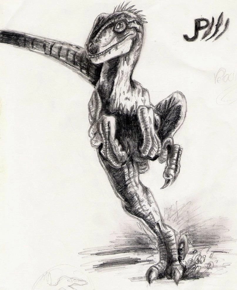 Velociraptor By Siroka On DeviantArt
