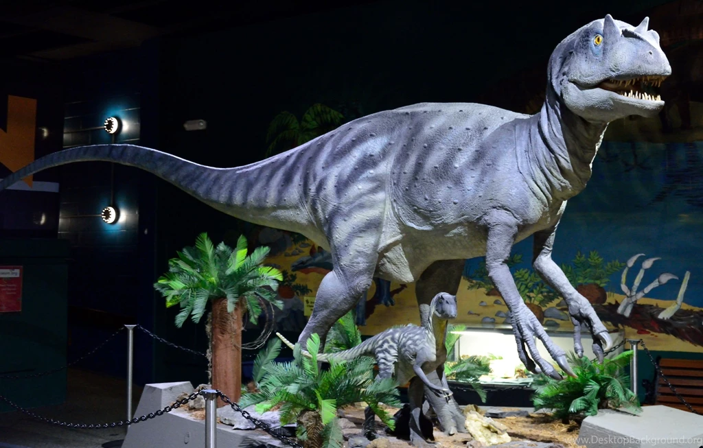Dinosaurs: Velociraptor Jurassic Dinosaur Raptor Csh 4520 Free ...