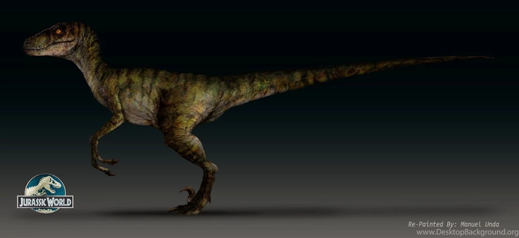 DeviantArt: More Like VELOCIRAPTOR BLUE By MANUSAURIO