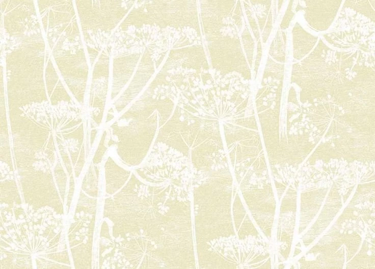 Cow Parsley (95/9053)   Cole & Son Wallpapers   A Large Scale All ...