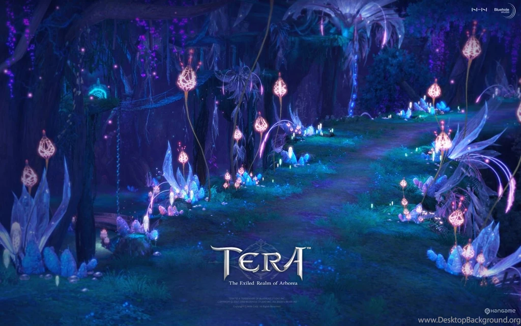 Tera Online Wallpapers 1920X1080   1647889
