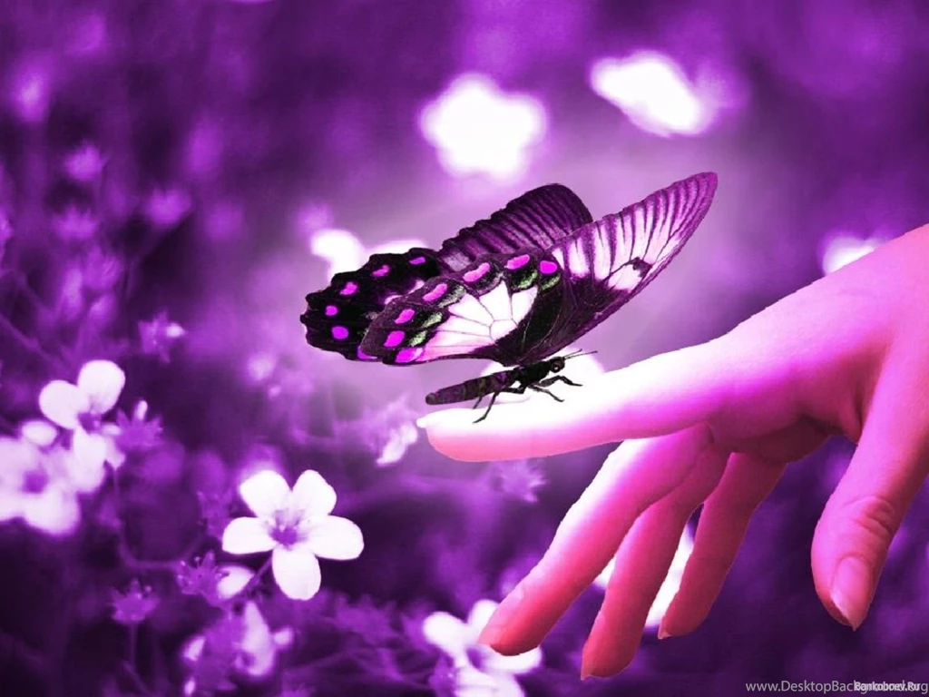 Cute Purple Wallpapers Wallpapers Cave