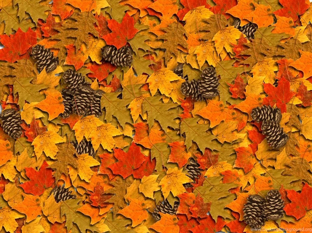 Autumn 10.jpg