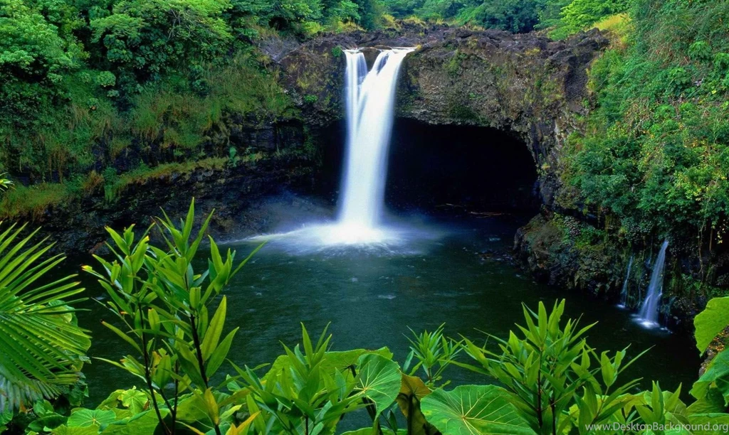 Nature Wallpapers, Widescreen, Cool Photos, Free Nature Images ...